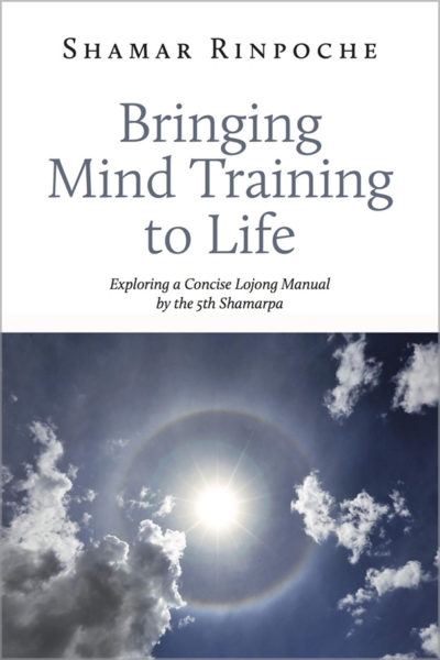 a book cover showing a sun in the sky (Bringing Mind Training to Life