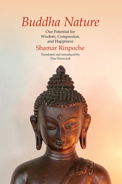 book cover with text and an image of a statue of the Buddha (cover for Buddha Nature: Our Potential for Wisdom, Compassion, and Happiness)